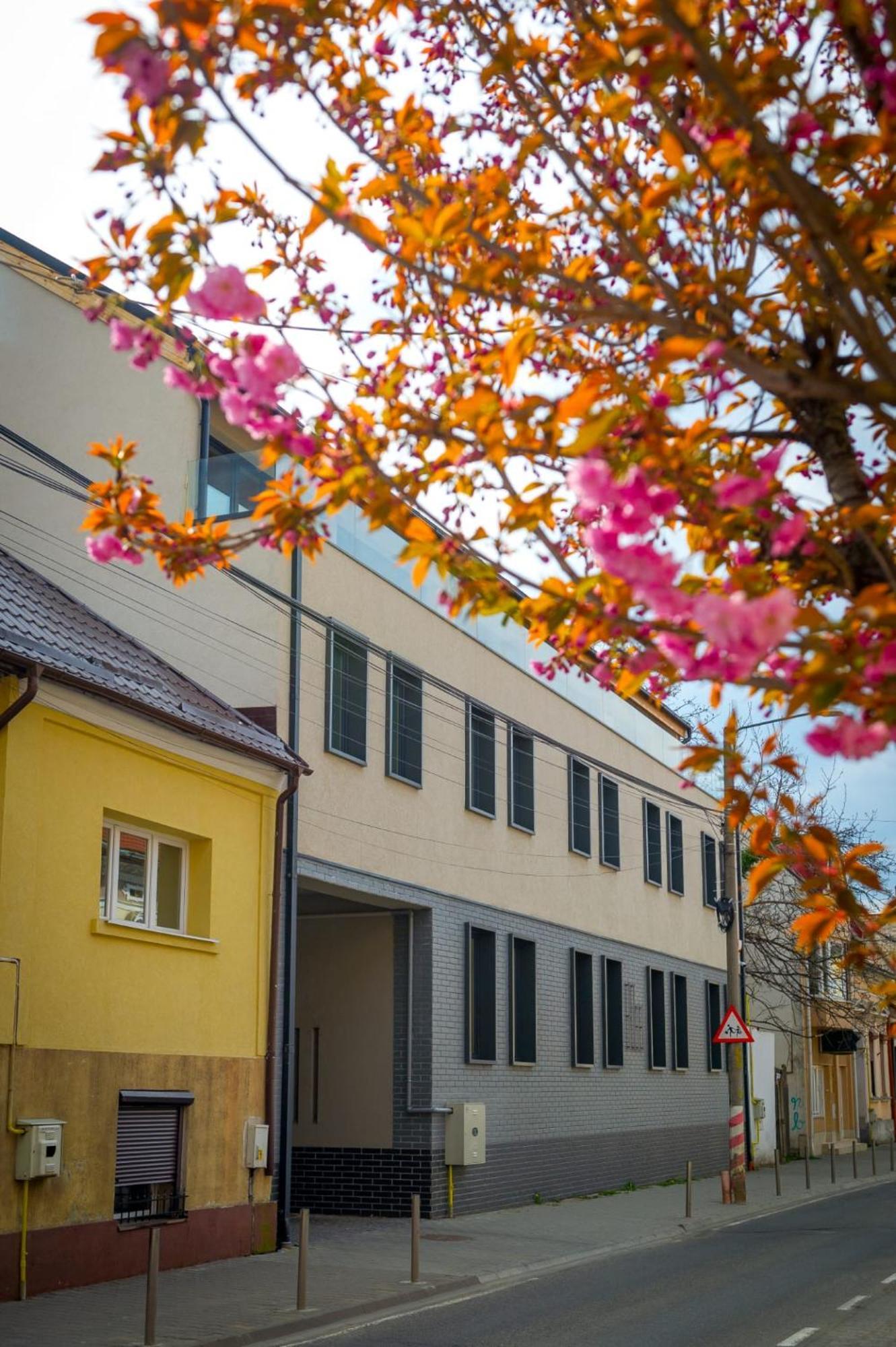H11 Downtown Apartments Marosvásárhely Kültér fotó